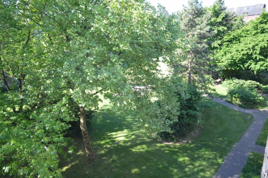 Ausblick Dachgeschosswohnung Krefeld