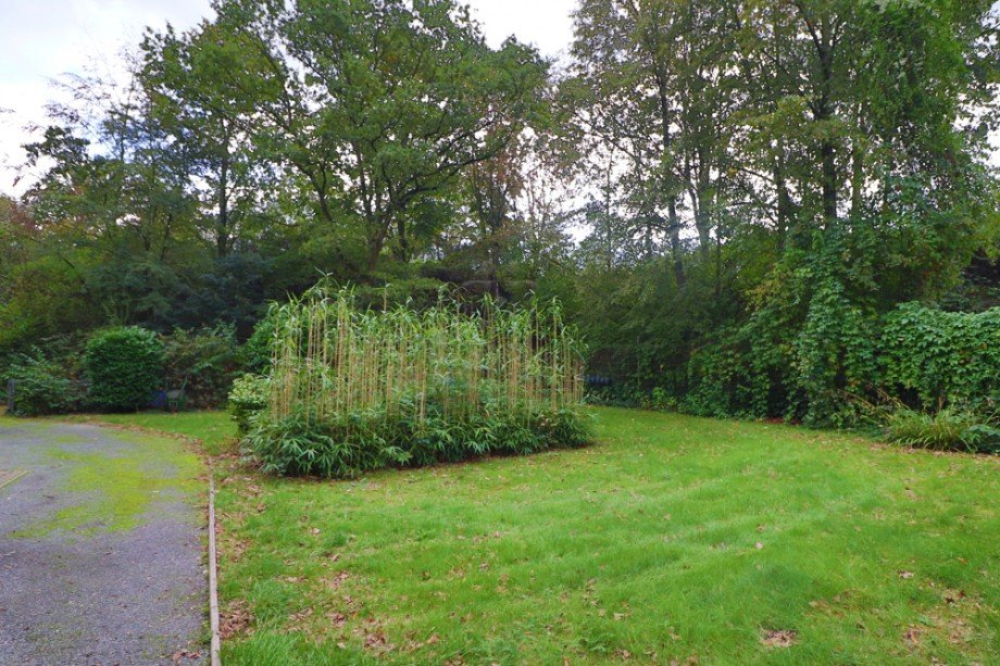 Garten Einfamilienhaus Dinslaken