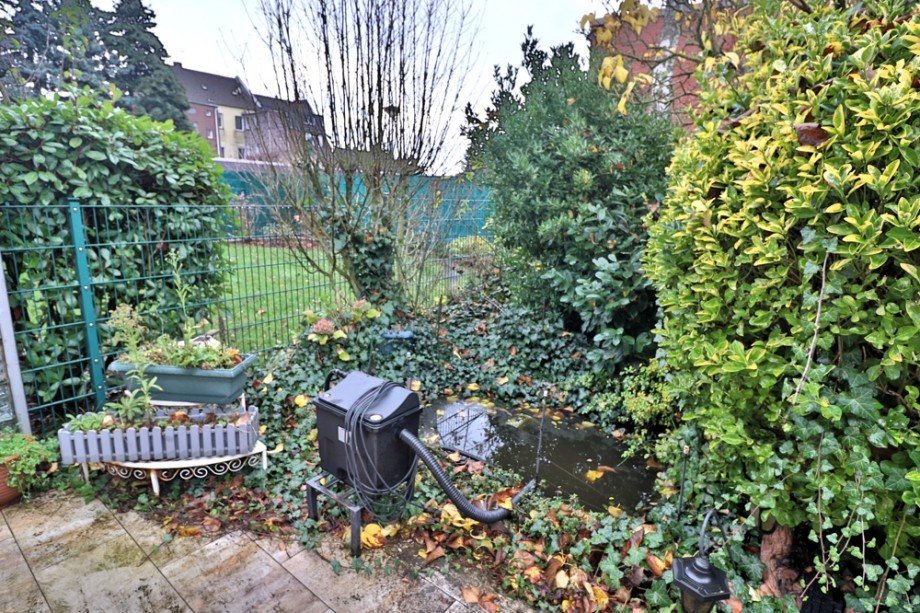 Gartenteich Reihenhaus Oberhausen