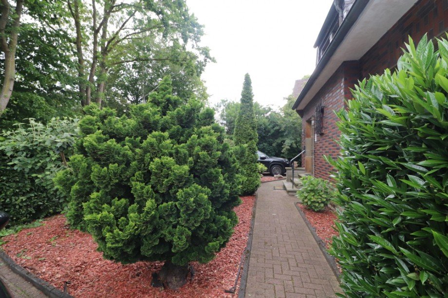 Vorgarten Einfamilienhaus Dinslaken